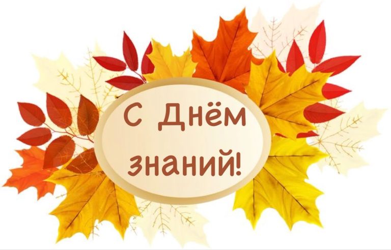 Read more about the article С Новым учебным годом